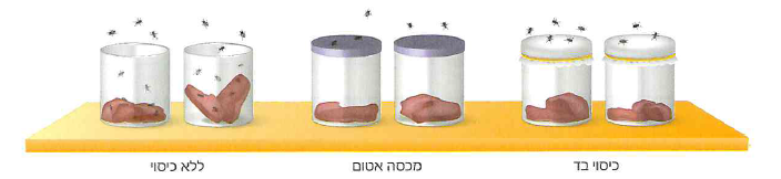 (בספר תרשים)